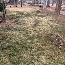 Essential-Spring-Cleanup-in-Oxford-MS 17